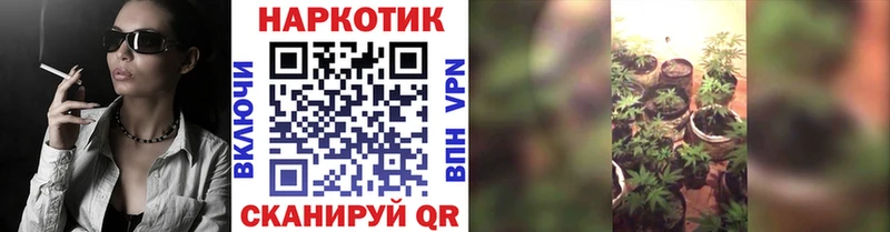 Продажа наркотиков Рыбное ГАШ  Альфа ПВП  Кокаин  КЕТАМИН  Героин  Конопля  МЕФ 