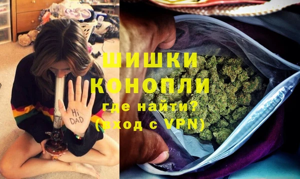 шишки Покачи