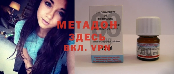 прущие грибы Гвардейск