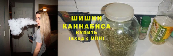 твердый Иннополис