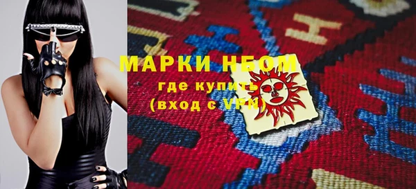 шишки Покачи