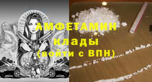 шишки Покачи
