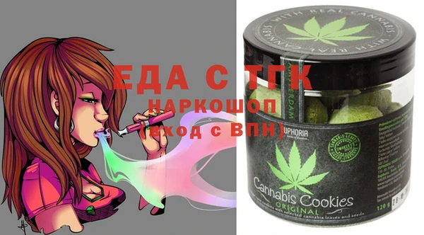 шишки Покачи