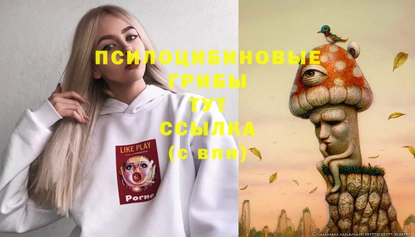 твердый Иннополис