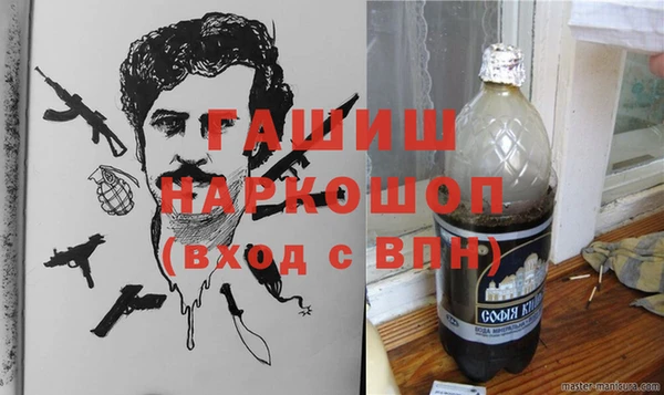 шишки Покачи
