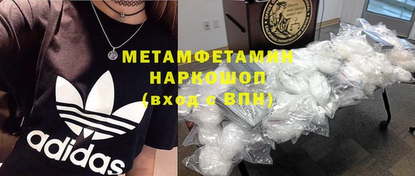 шишки Покачи