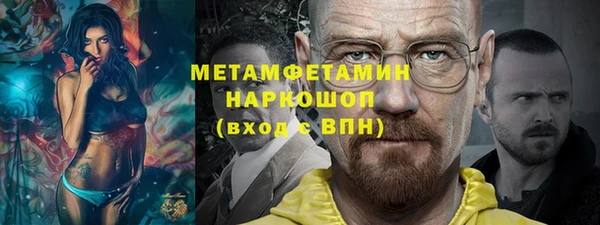 шишки Покачи